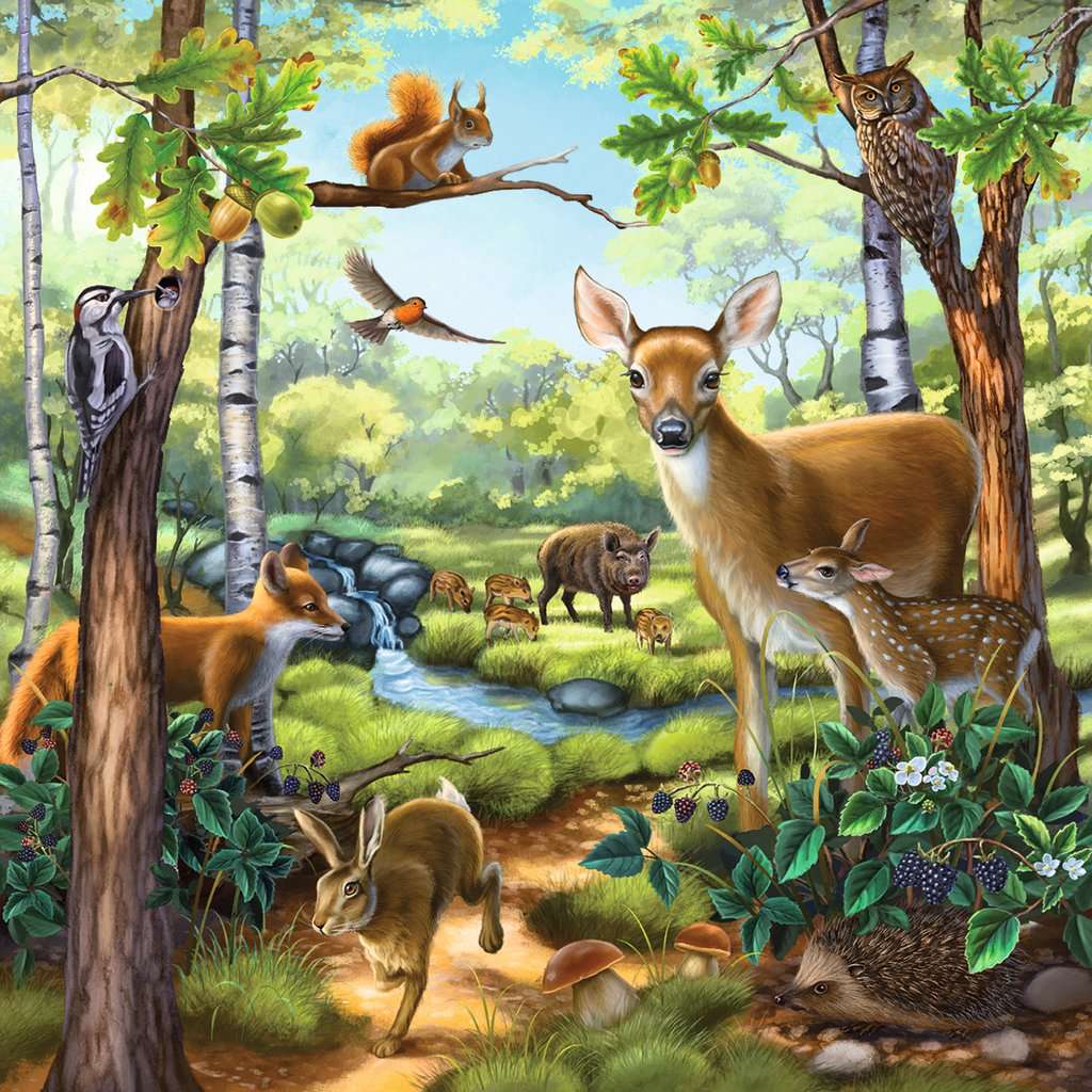 Zvířata v lese, ZOO a domácí zvířata Ravensburger Dětské puzzle 49 |  pucliky.cz