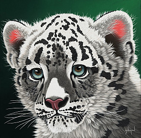 Schim Schimmel - Mladý leopard