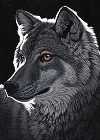 Schim Schimmel - Night Wolf