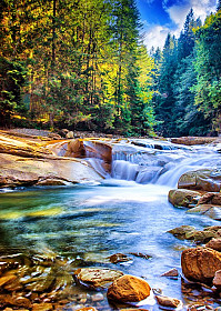 Beautiful Waterfall in the Forest