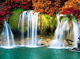 Waterfall in Forest