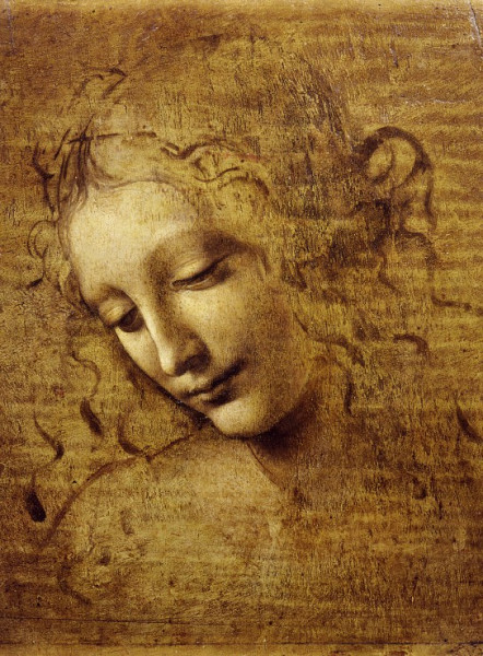 Leonardo da Vinci : The Face of Giovane Fanciulla, 1508