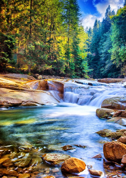 Beautiful Waterfall in the Forest