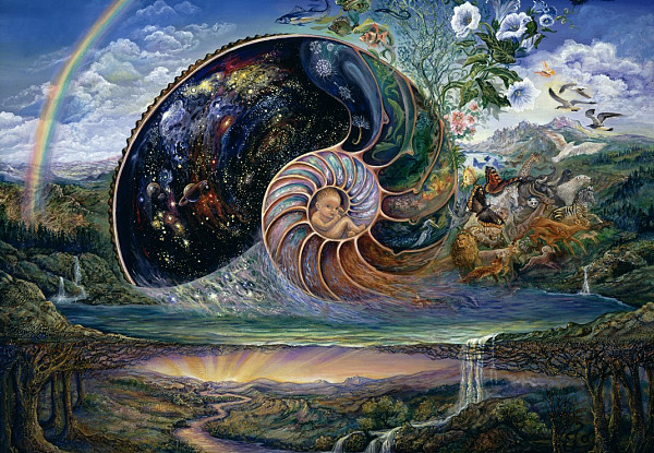 Nautilus