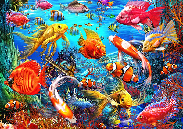 Tropical Fish