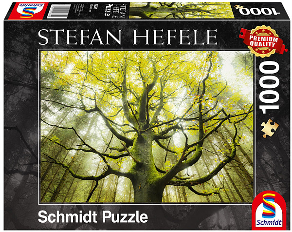 Hefele: Dream Tree