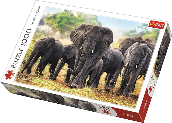 Afričtí sloni