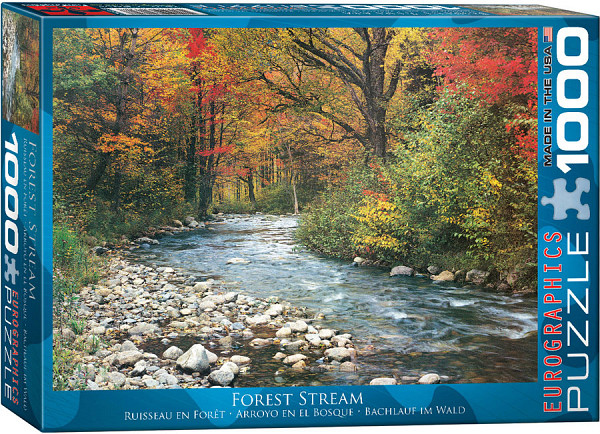 Forest Stream
