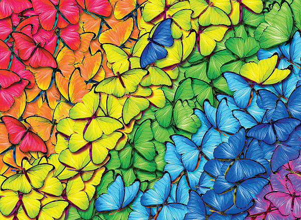 Butterfly Rainbow