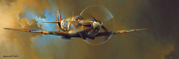 Spitfire by Barrie A.F. Clark