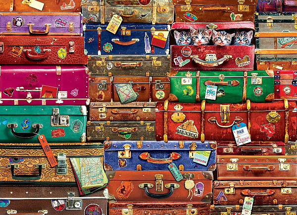 Travel Suitcases