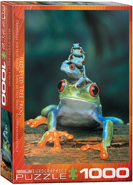 Red-Eyed Tree Frog