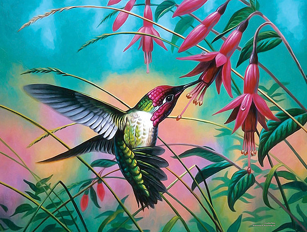 Cynthie Fisher - Hummingbird Haven