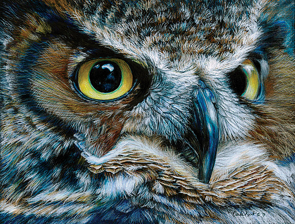 Carla Kurt - Dark Owl